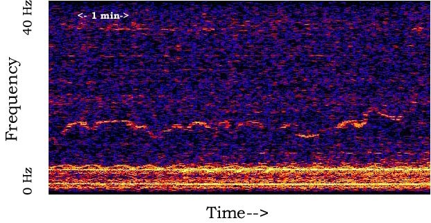 NOAAが記録したもう一つの謎の音「ホイッスル」のスペクトログラム