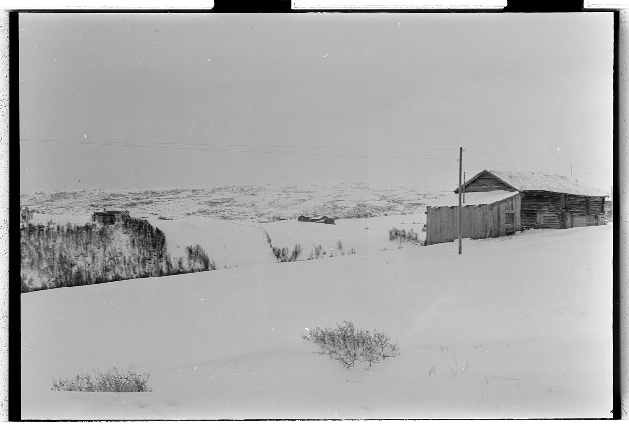 建物と樹林の向こうに山並みが続くヘスダーレンの冬景色。1953年撮影。