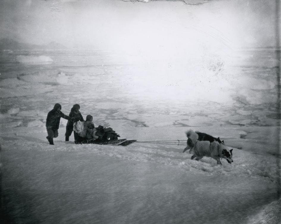 1890年代のグリーンランド。海氷の上で犬ぞりを押して進む人々