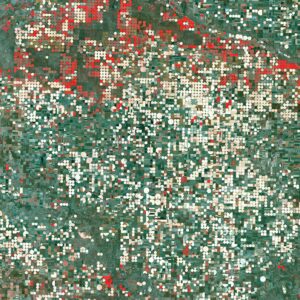 カンザス州ガーデンシティ周辺の円形の灌漑農地を写した衛星画像