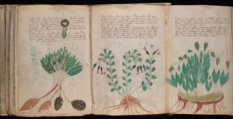 600年誰にも読めないヴォイニッチ手稿