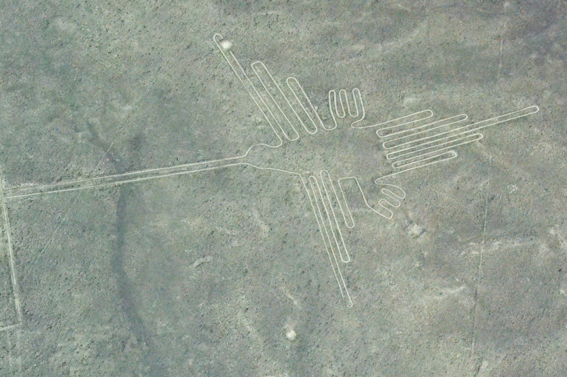 ナスカの地上絵