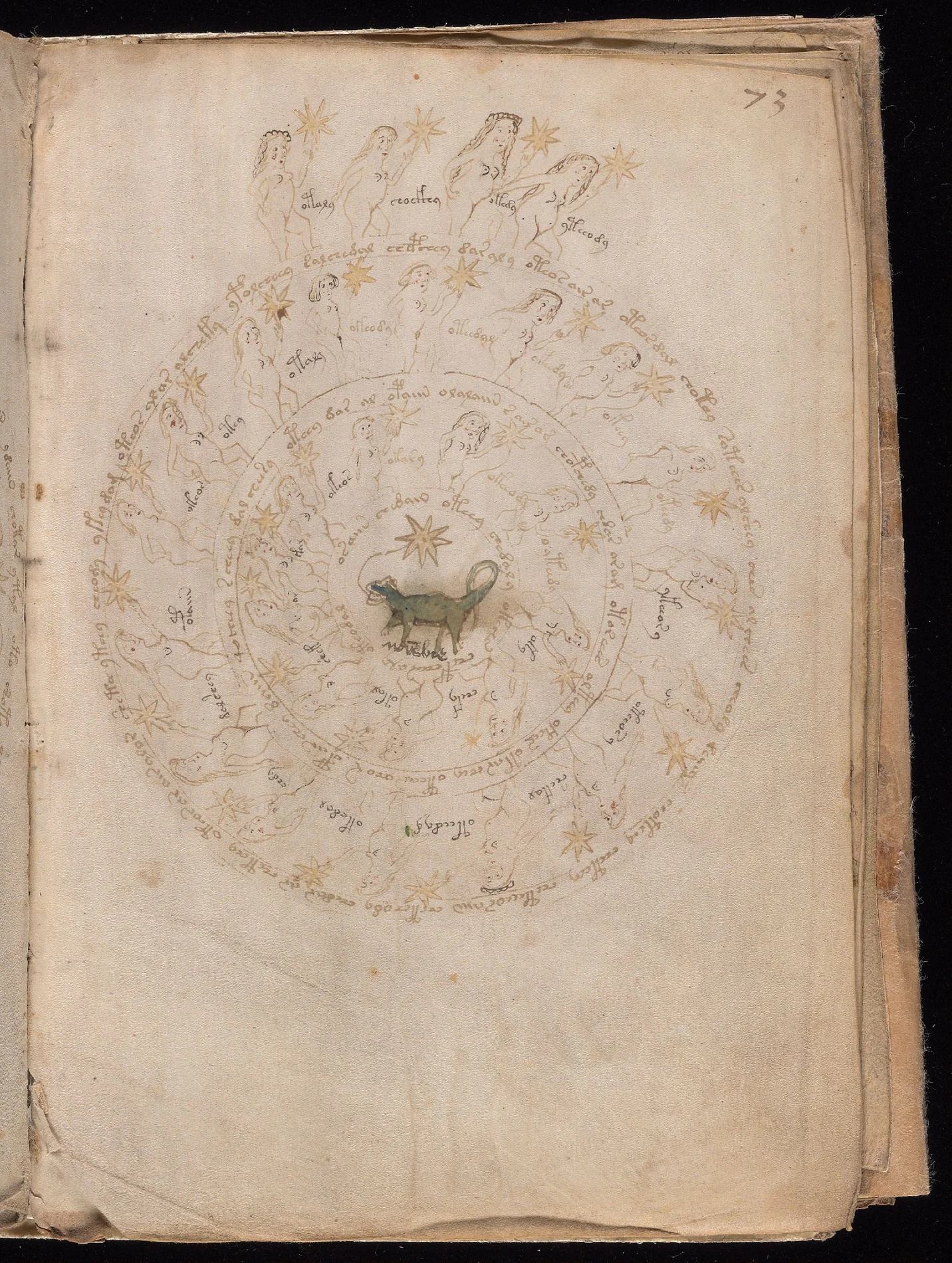 ヴォイニッチ手稿folio 73rの星形と円周文字を組み合わせた図
