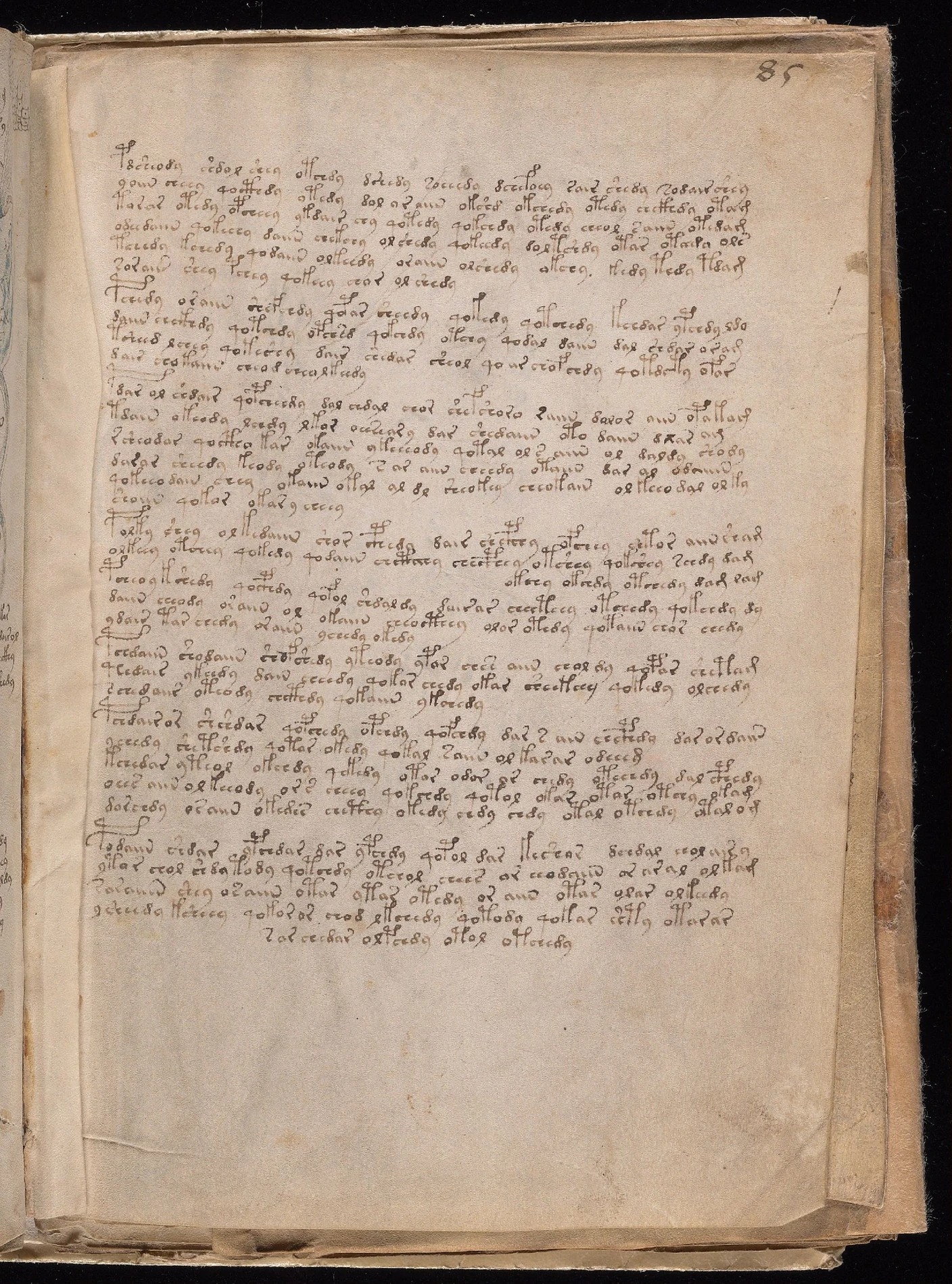 ヴォイニッチ手稿folio 85rから86vの大型折り込み左側