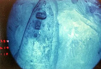 海底のスコーピオン船首部分