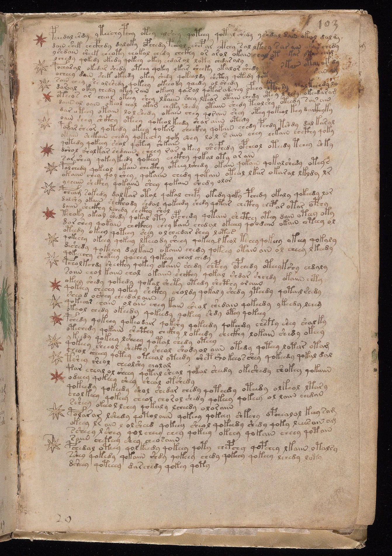 ヴォイニッチ手稿folio 103rの星形印で区切られた短い段落