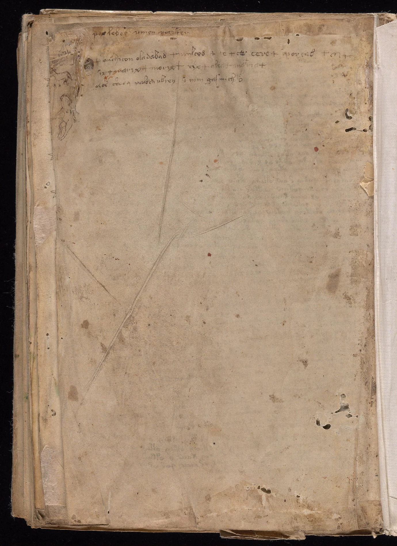 ヴォイニッチ手稿folio 116vの末尾にある本文とは異なる書込み