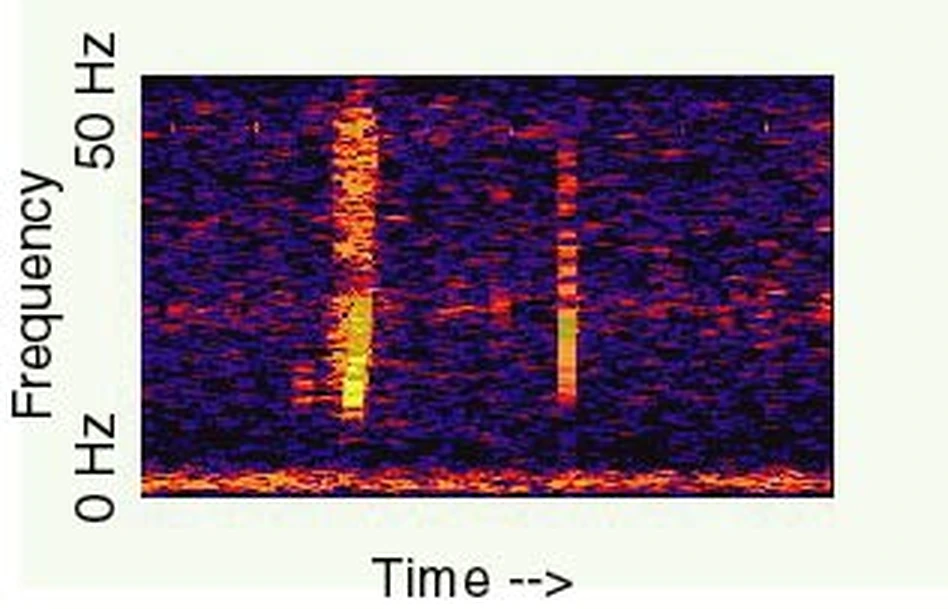 NOAA PMELが公開するブループのスペクトログラム