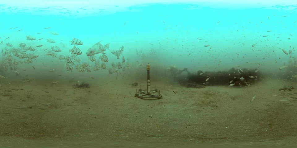 魚の泳ぐ海底に設置されたNOAAのハイドロフォン