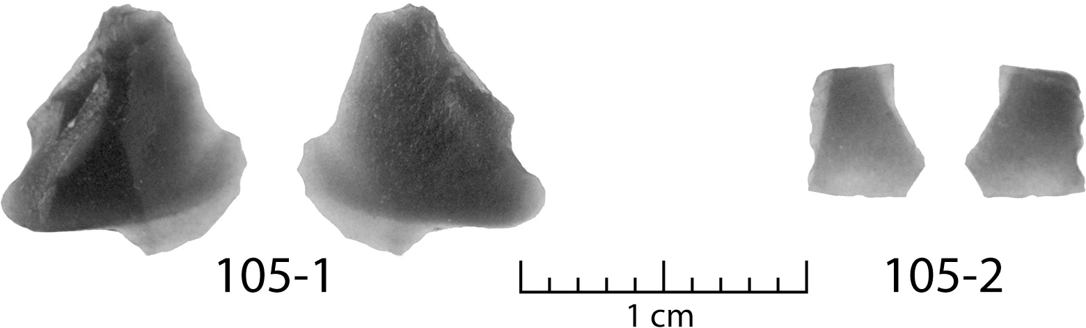 ヒューロン湖底で発見された二片の黒曜石