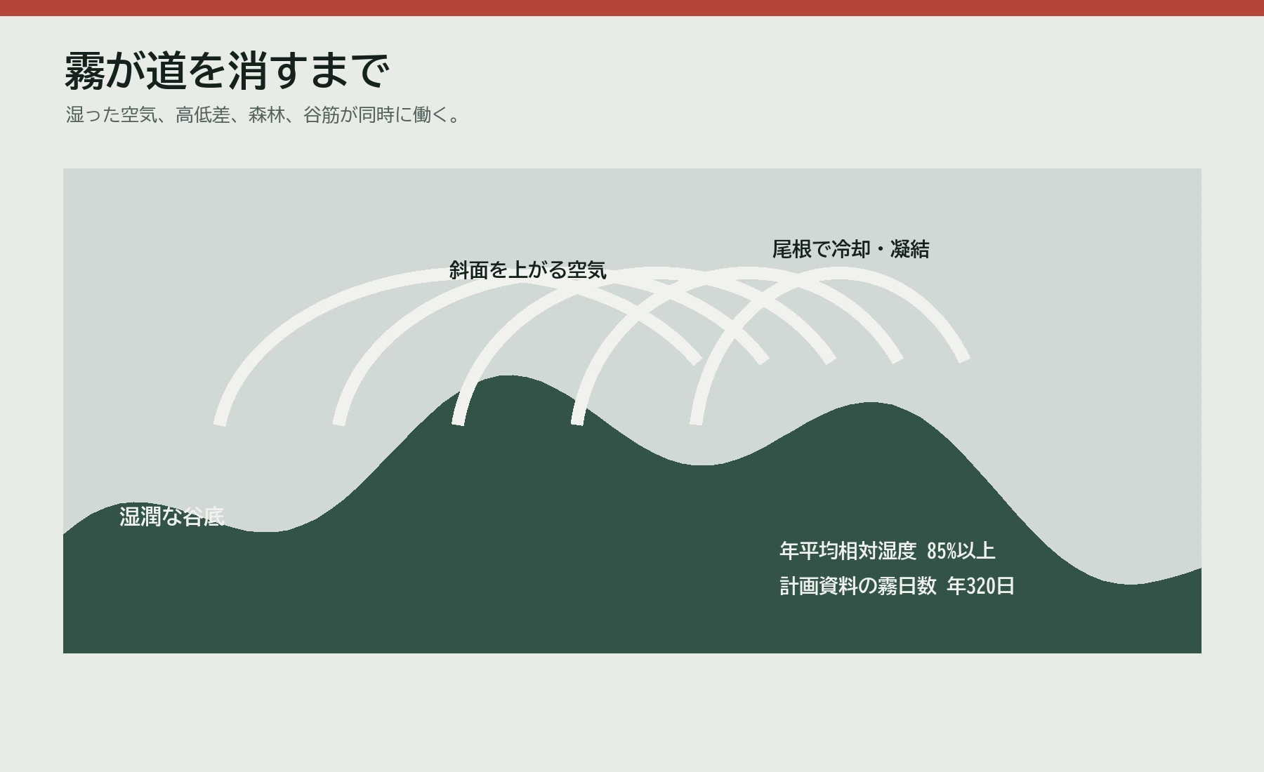 湿った空気が山腹で上昇して霧になる仕組みを示す断面図