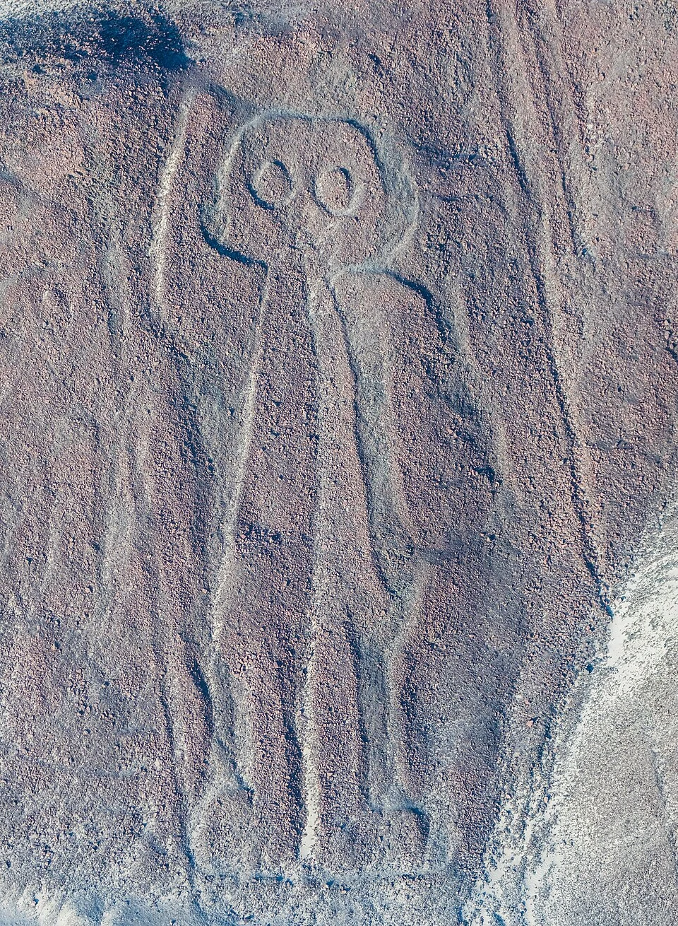 山の斜面に描かれた大きな目の人型地上絵