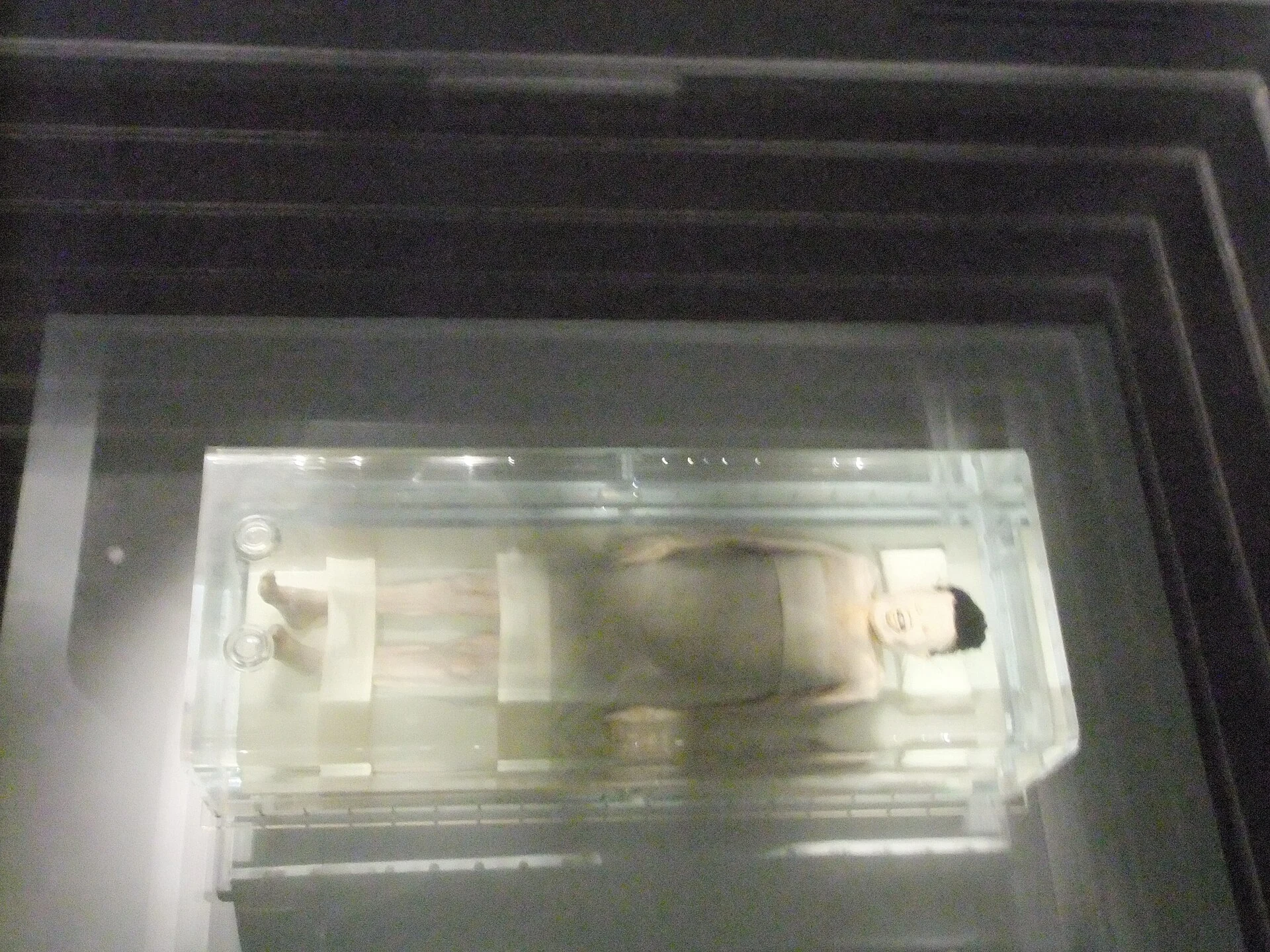 湖南博物院で保存展示される馬王堆一号墓の辛追夫人の遺体