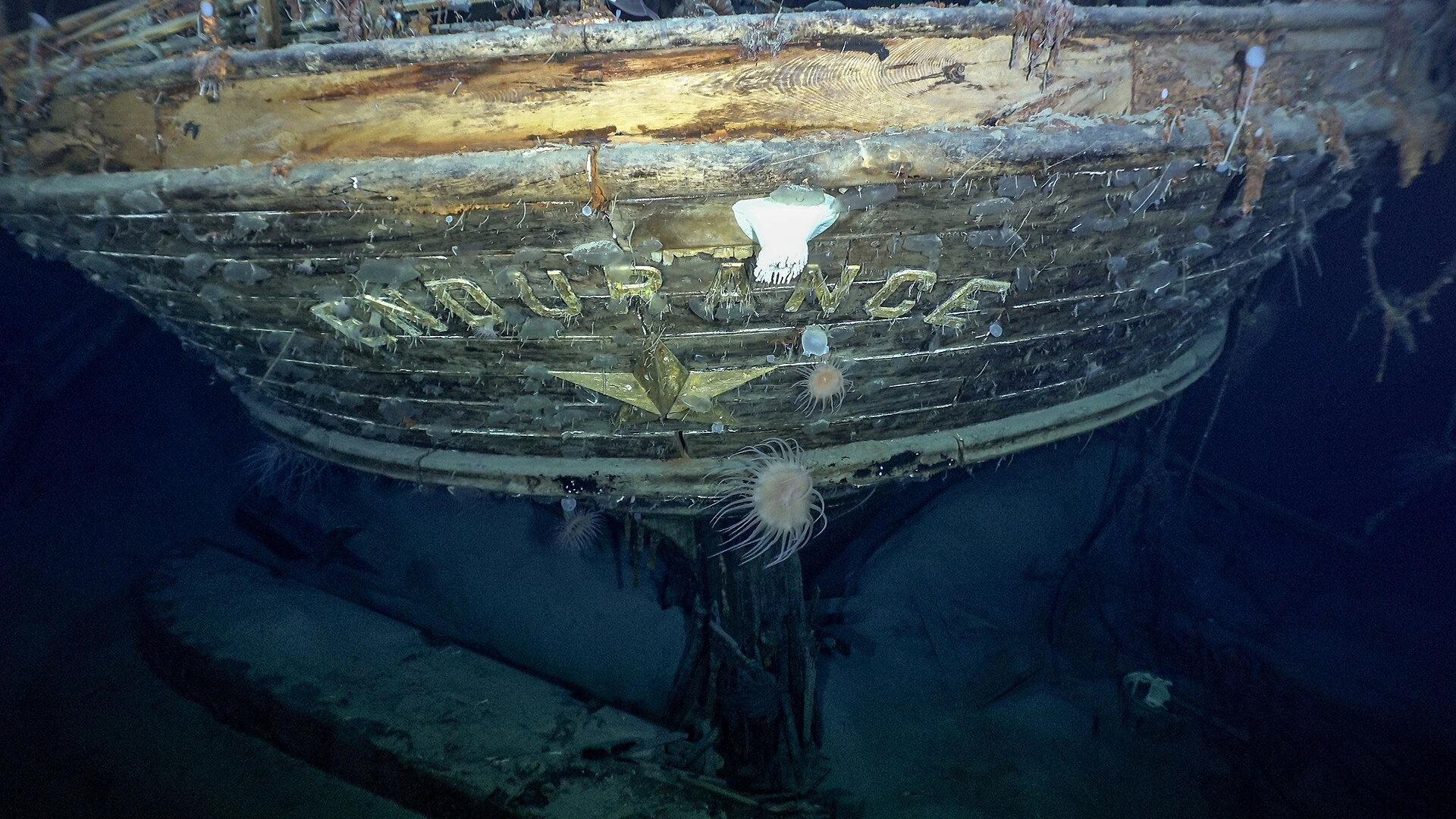 水深3008メートルで発見されたエンデュアランス号の船尾と船名