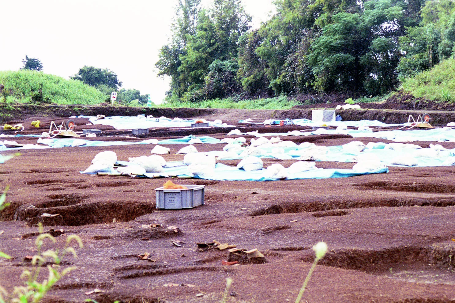 吉野ヶ里遺跡で発掘区を調査する作業員