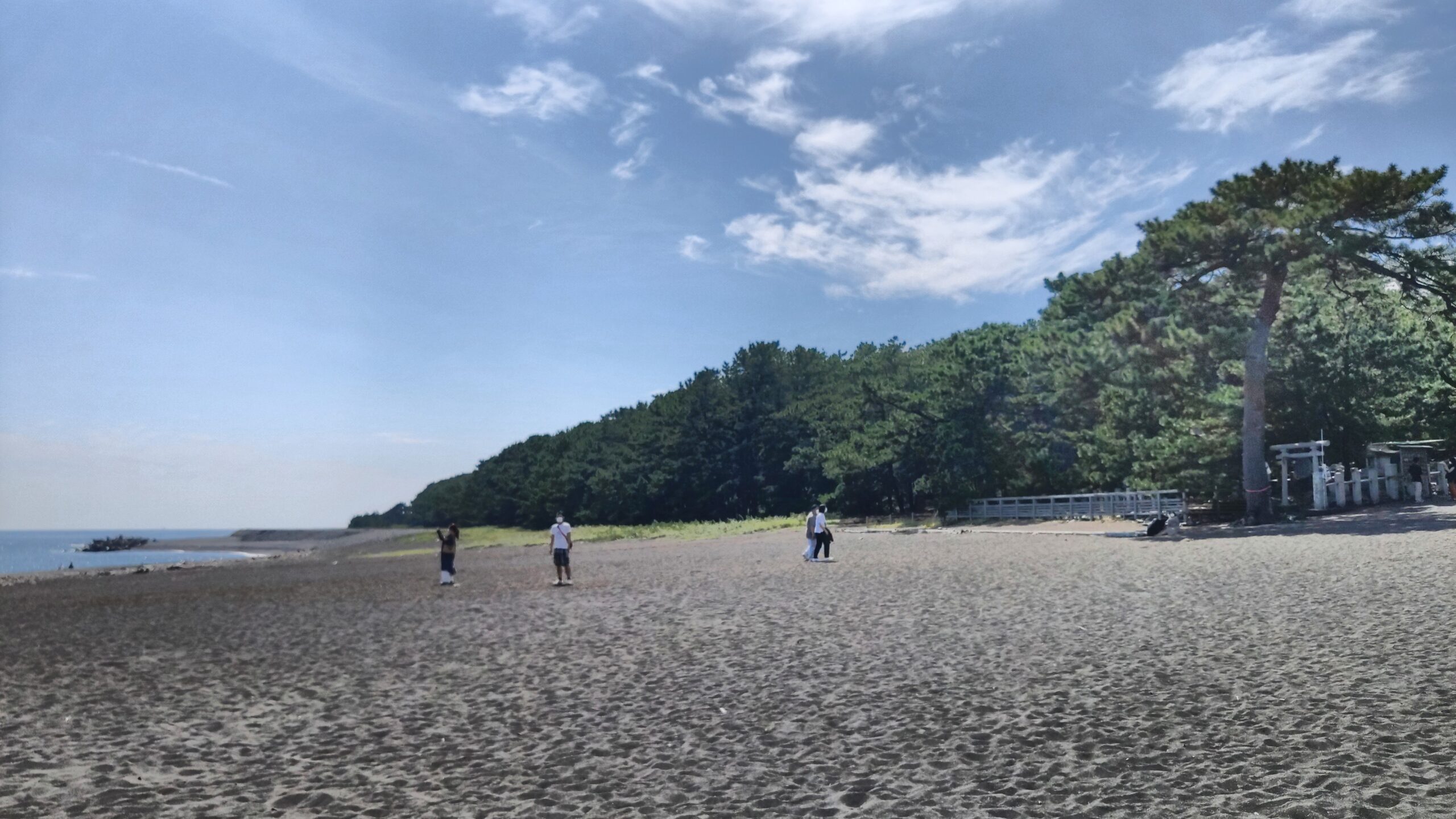 三保の松原の海岸と海を写した写真
