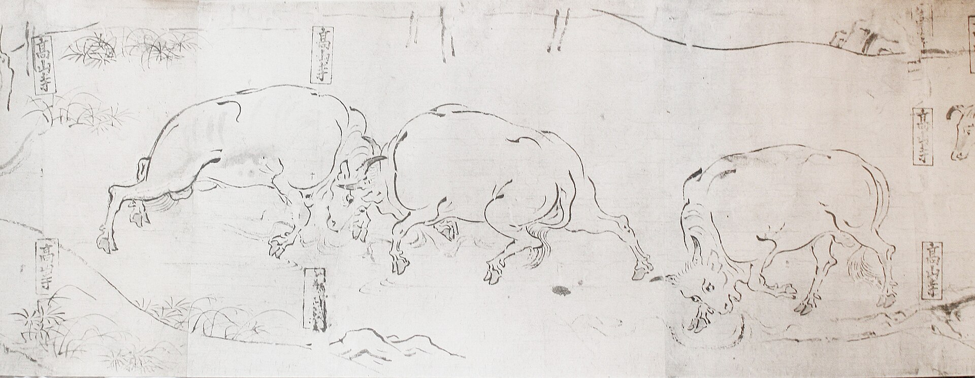 乙巻。牛が写生のような線で並べて描かれる。物語の筋がなく図譜に近い