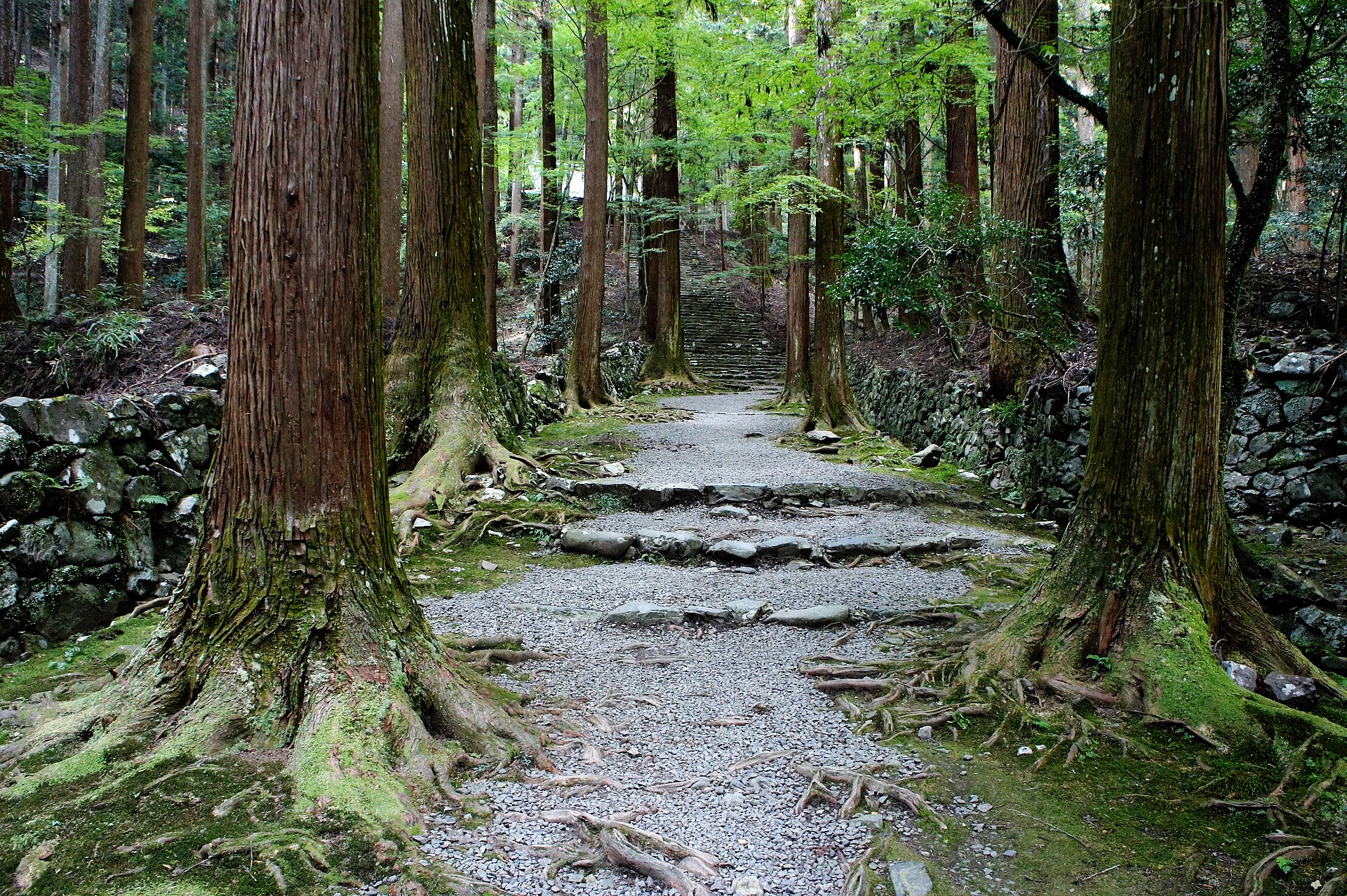 根元が苔に覆われた杉の大木のあいだを通る高山寺の砂利道と石段