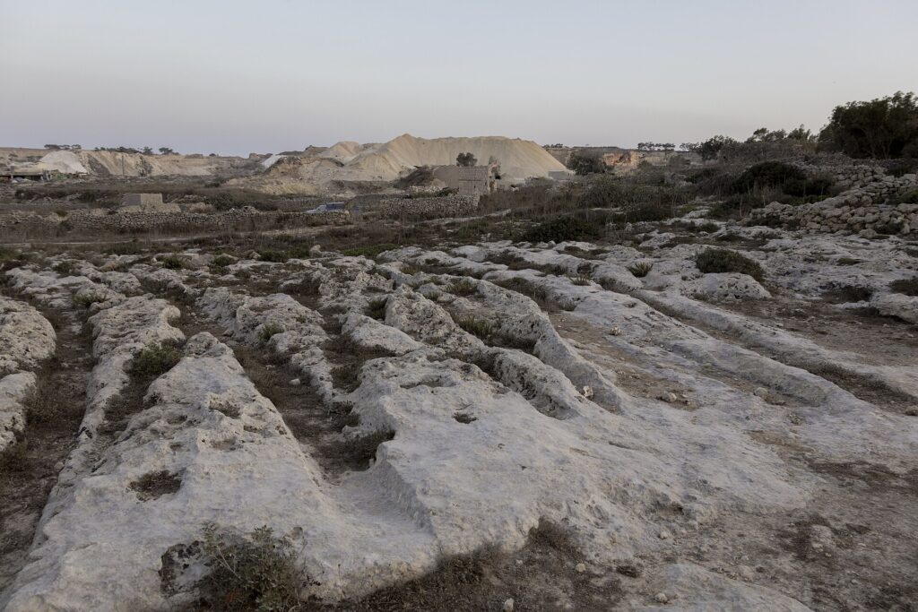 マルタの轍｜岩に刻まれた線路は、何を運んだのか。地中海の島に残る道の謎