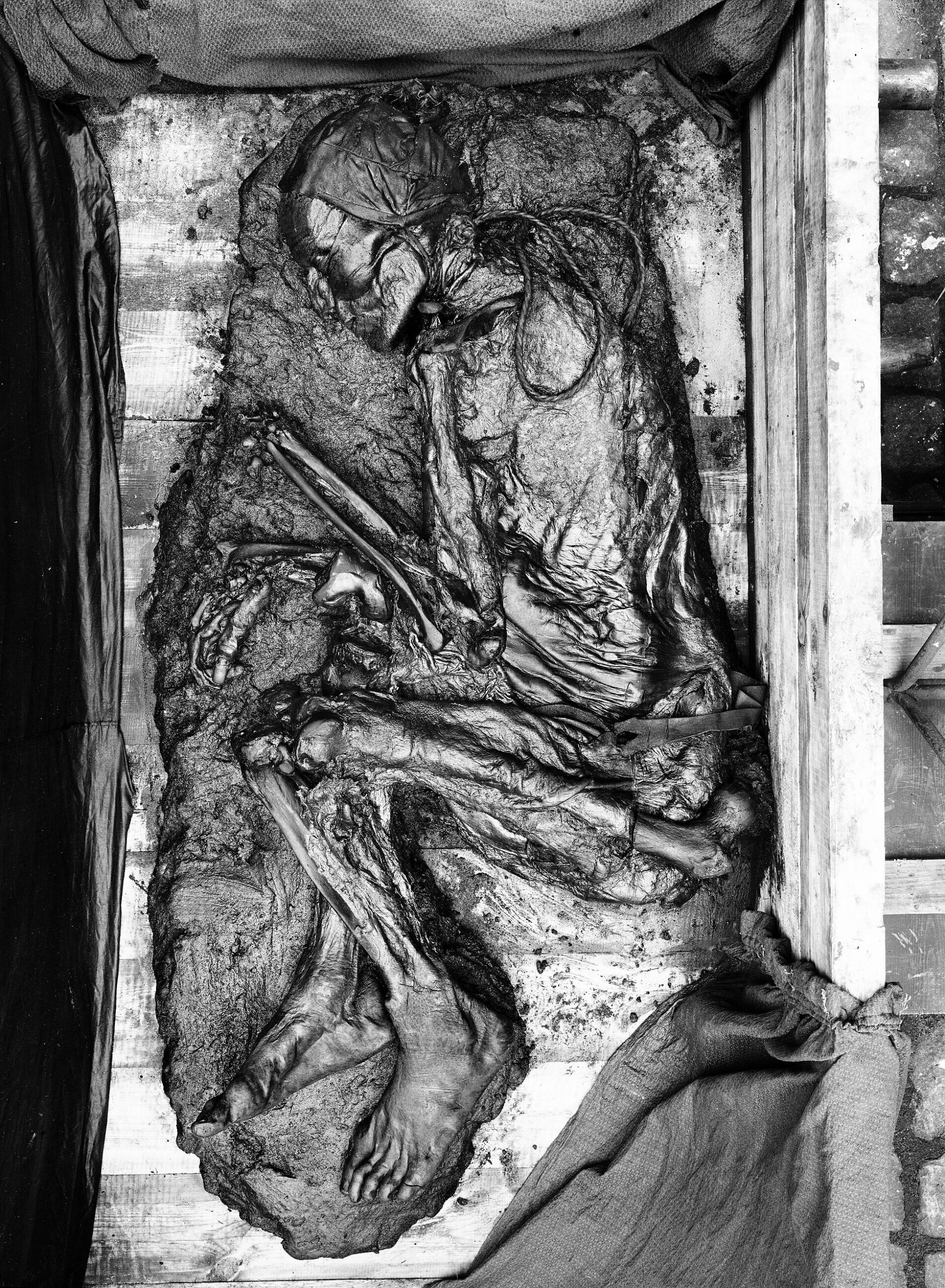 発見後のトーロン人を写したデンマーク国立博物館の資料写真。首の革ひもと曲げた脚が見える。